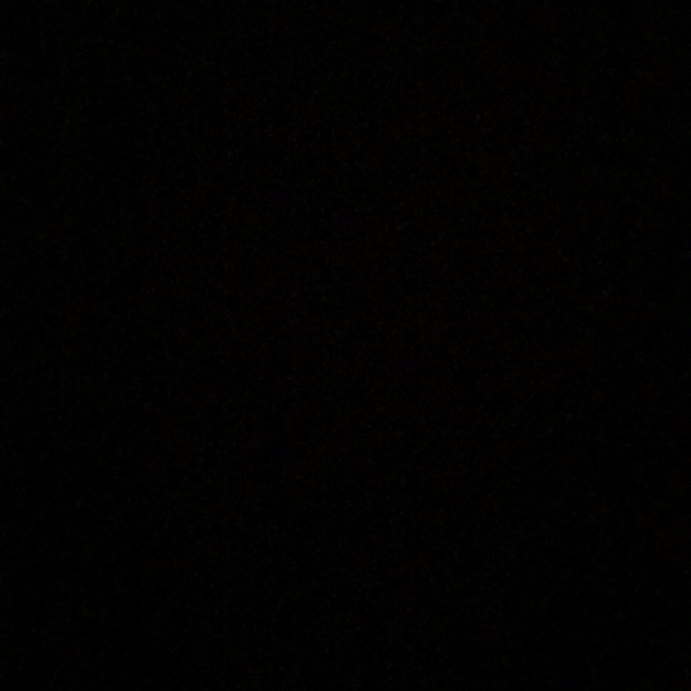 Meet your Posher, Annie